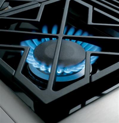 48" Monogram  All Gas Professional Range with 6 Burners and Griddle (Natural Gas) - ZGP486NDRSS