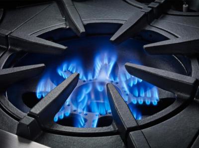 60" BlueStar Platinum Series Gas Rangetop with 10 Open Burners in Liquid propane - BSPRT6010BLPLT