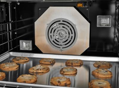 60" Blue Star Platinum Series Gas Range in Liquid Propane - BSP6010BLPLT