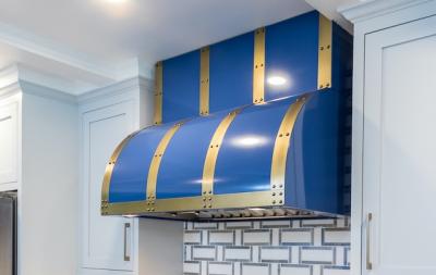 48" Blue Star Bonanza Series Wall Mount Range Hood With Brushed Custom RAL Color - BZ048MLPLTC