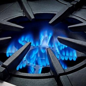 24" Blue Star Platinum Series Gas Range with 4 Open Burners - BSP244BLC