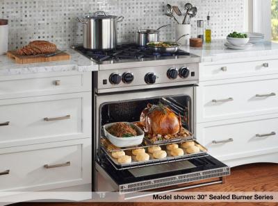 24" Blue Star Culinary Series (RCS) Sealed Burner Range in Natural Gas - RCS24SBV2CCPLT