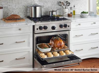 24" BlueStar Culinary Series (RCS) Sealed Burner Range - RCS24SBV2L
