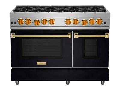 48" Blue Star Culinary Series (RCS) Sealed Burner Gas Range in Liquid Propane - RCS48SBV2LCPLT