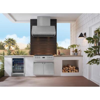 42" Best Pro-Style Outdoor Range Hood in Stainless Steel - WPD38I42SB