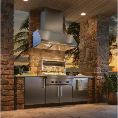 42" Best Pro-Style Outdoor Range Hood in Stainless Steel - WPD39M42SB