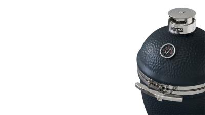 18" Lynx Kamado Ceramic Charcoal Grill With Rotisserie - LCGRMG