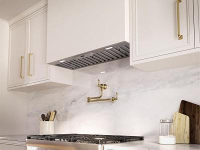 40" Zephyr Pro Collection Tornado III Insert in Stainless Steel - AK8340ASX