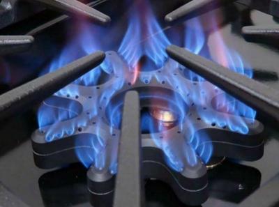 60" Blue Star Liquid Propane Dual Fuel Range with 10 Burners - BSDF6010BLW