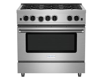 36" Blue Star Culinary Series (RCS) Sealed Burner Range in Natural Gas - RCS36SBV2CFPLT