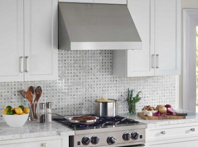 48" Blue Star Pro-Line Wall Mount Range Hood in Stainless Steel - PL048ML
